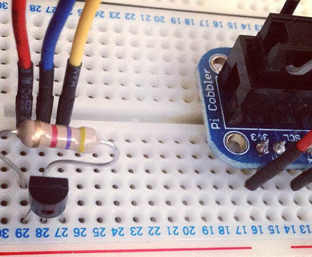 DS18B20 and Pi Cobbler